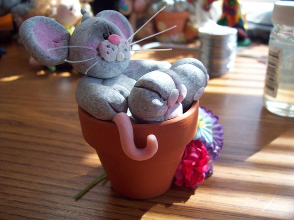 Potted mouse