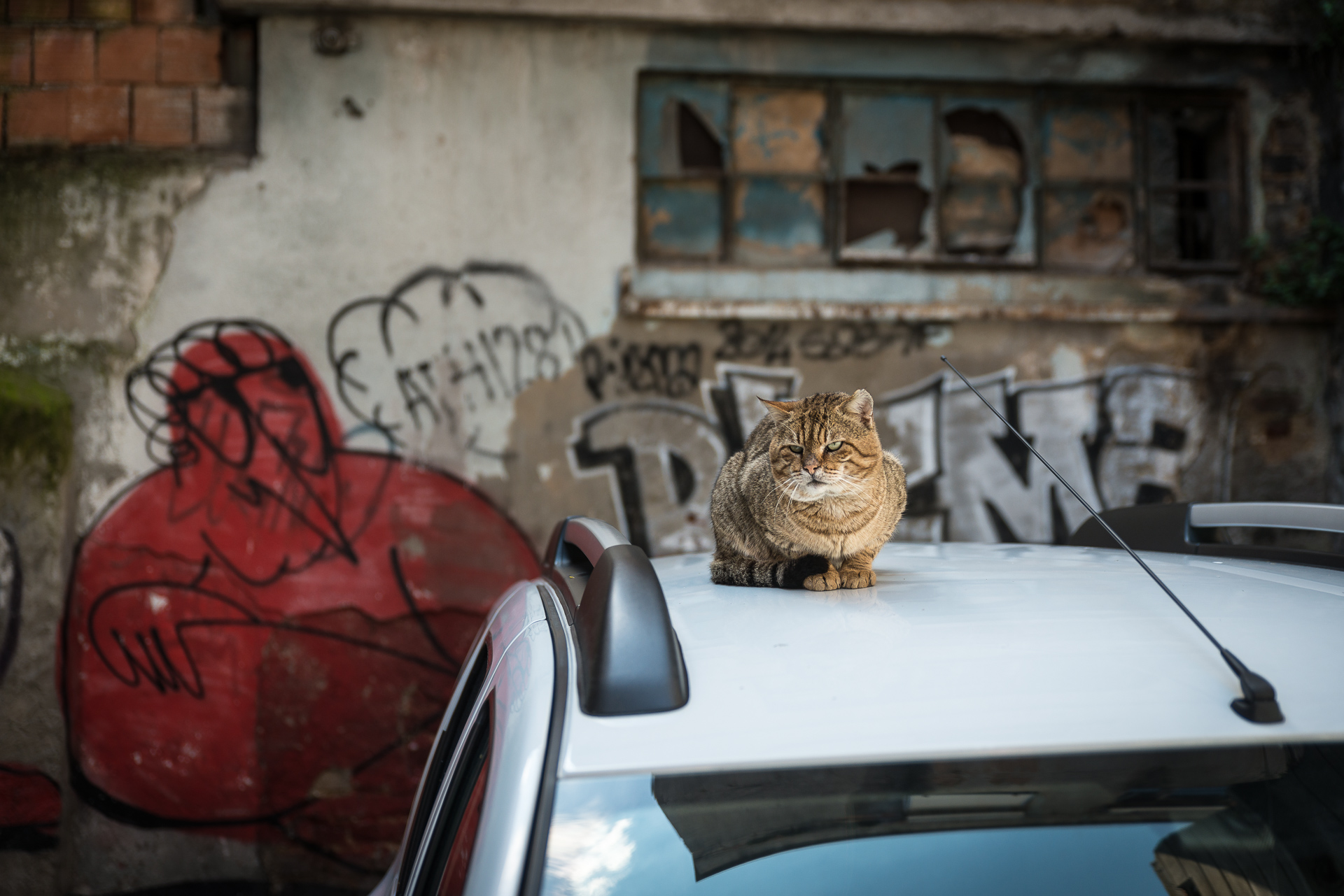 Istanbul Graffiti