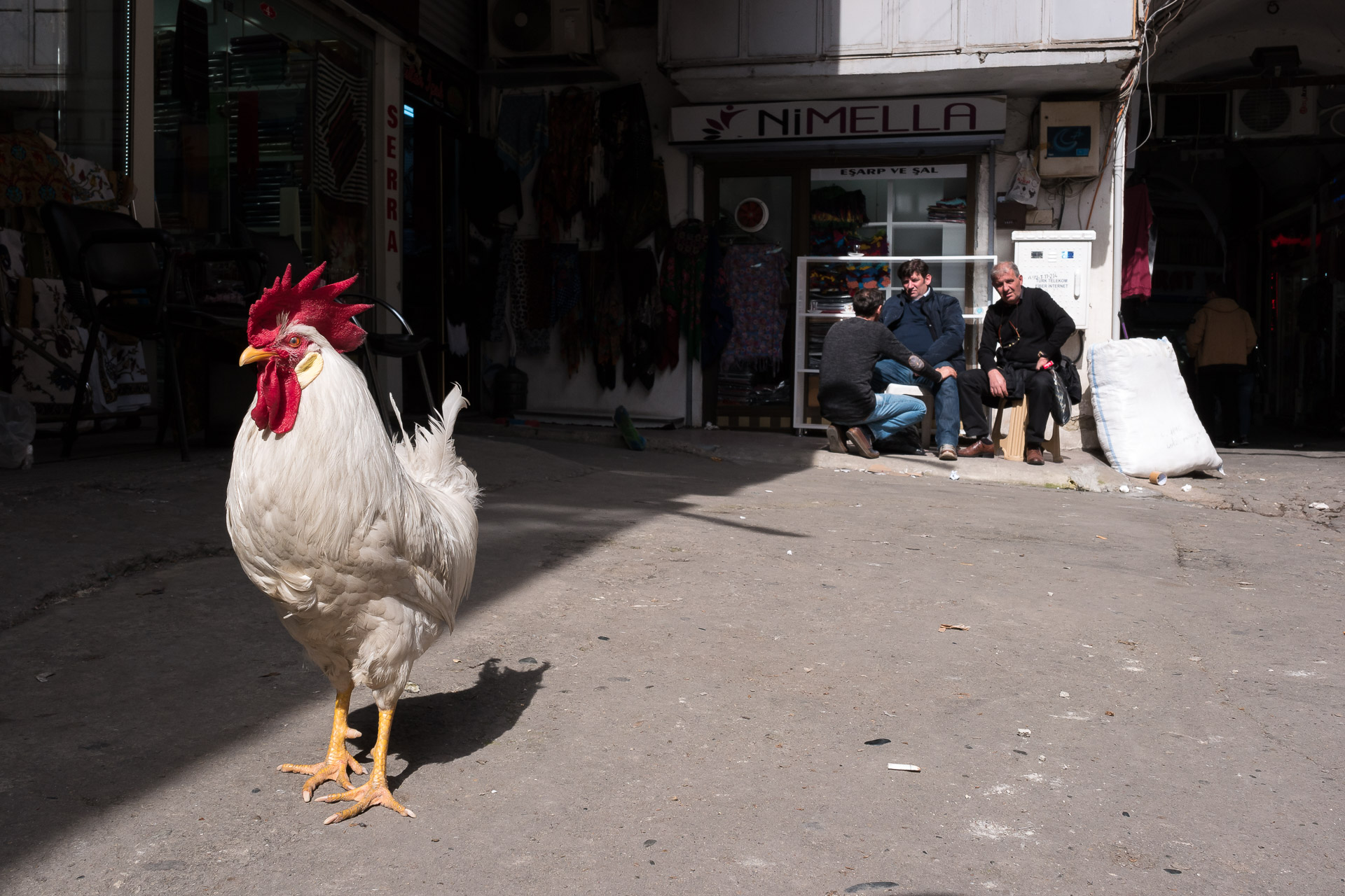 Turkish Standoff