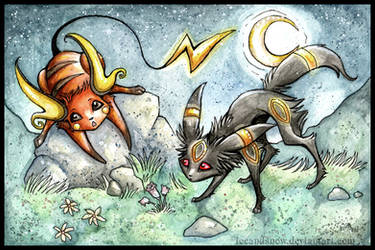 Raichu and Umbreon by IceandSnow