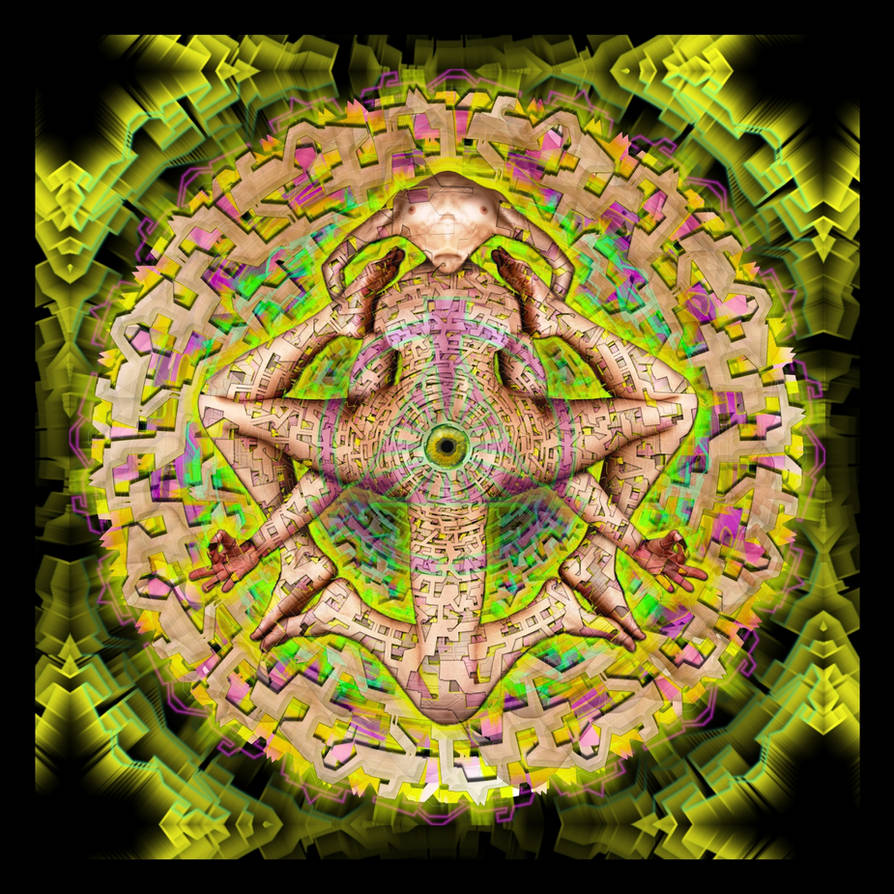 LOTUS MIND IV by Zverostroj on DeviantArt