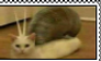 sNaT STAMP F2U