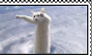 R I S E :: STAMP F2U