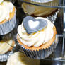 Silver Cupcakes