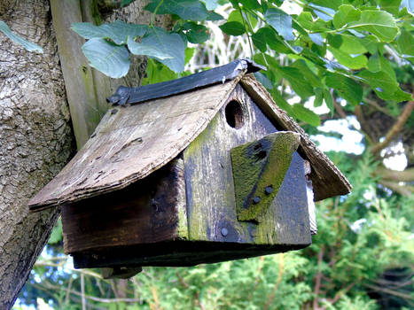 Birdhouse