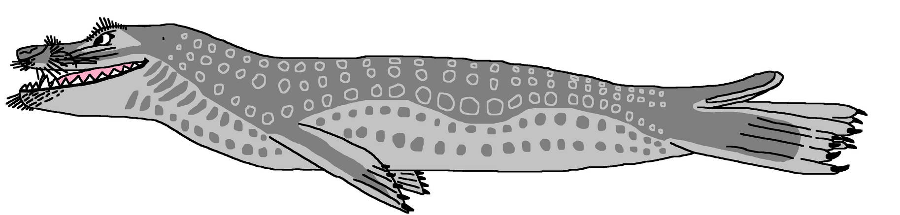 Leopard Seal by ChristopherBland on DeviantArt