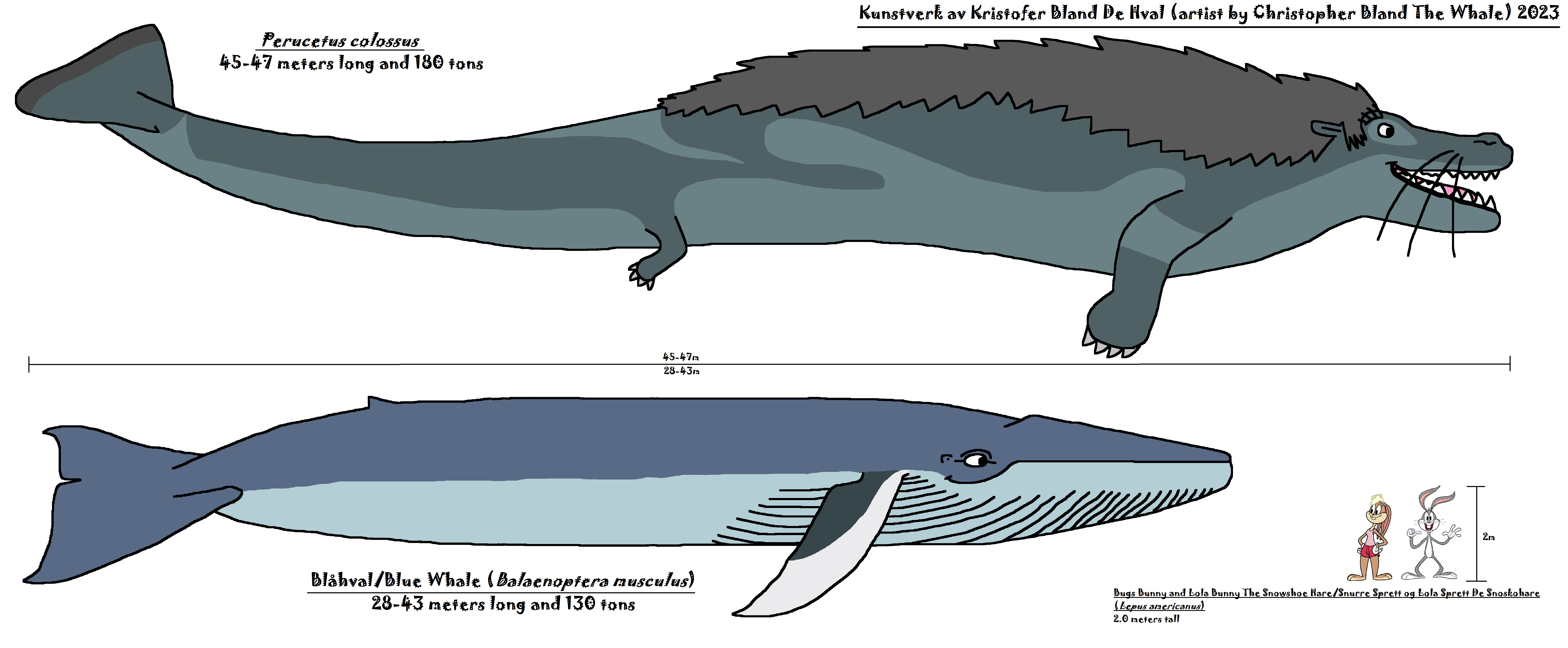 Perucetus size comparison by ChristopherBland on DeviantArt