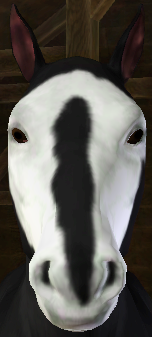Sims 3 Horse Marking Download: BadgerBlaze1