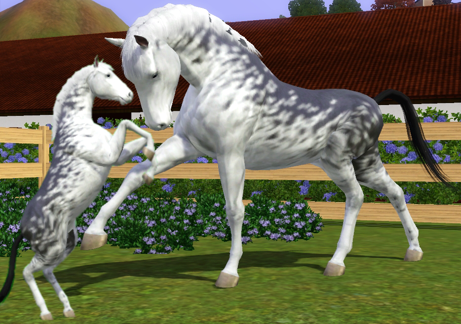 Sims 3 Horse Marking Download: Full Sabino1