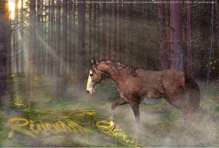 Rivendell PNG by NebulaArtz