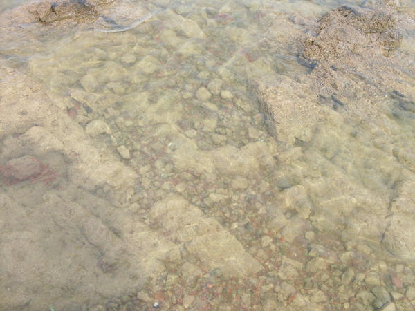 Lakebed-Inks Lake