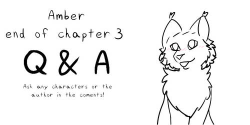 Amber chapter 3 Q+A