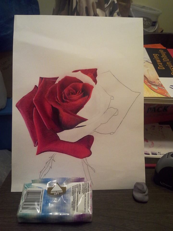 Colored Pencil Rose - Two