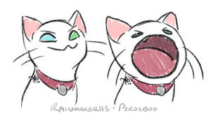 popcat eggs benedict
