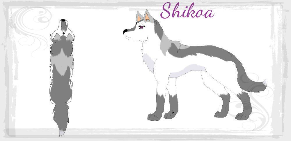 Shikoa Ref