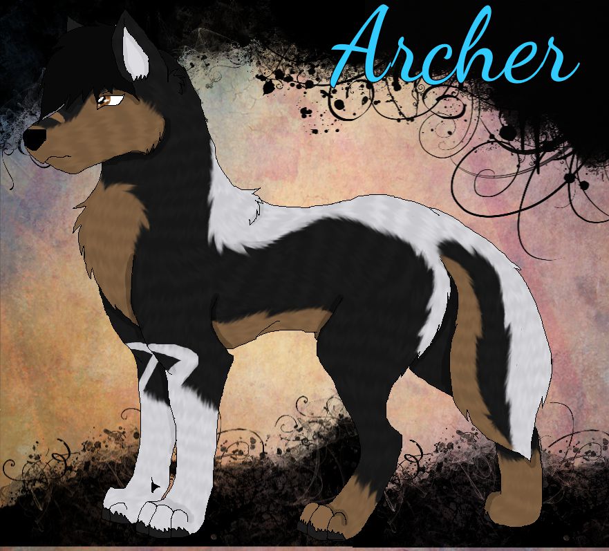 Archer