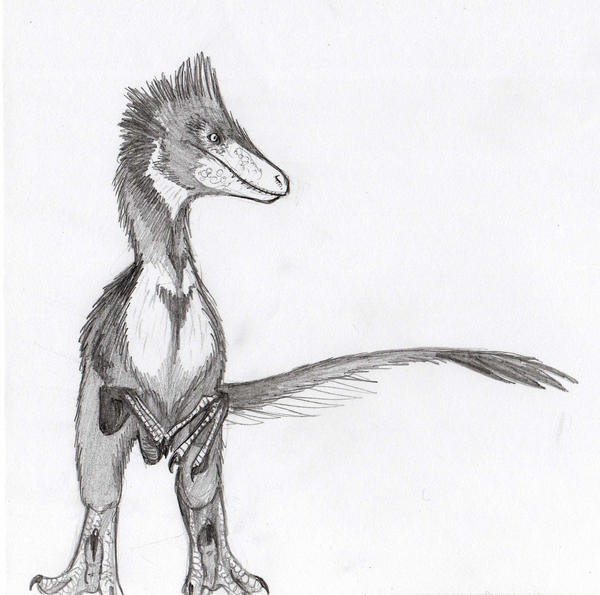 Raptor by JoshuaDunlop on DeviantArt