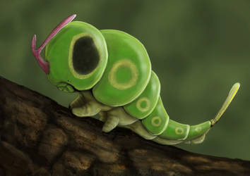 Caterpie