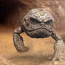 Geodude