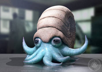 Výsledek obrázku pro omanyte