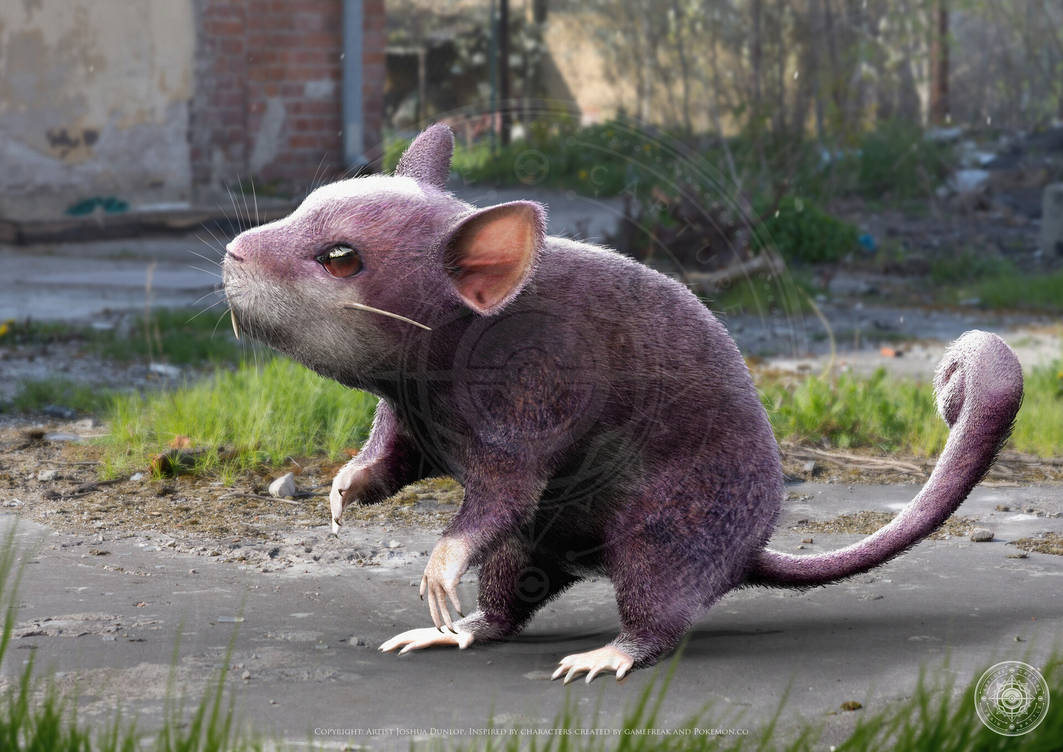 Rattata by JoshuaDunlop on DeviantArt