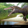 Suchomimus Stream