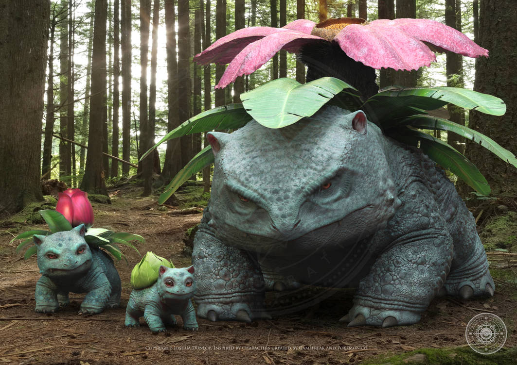 Pokemon Firered Bios: Bulbasaur Family by VaatiMccloud on DeviantArt