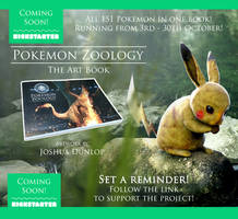 Pokemon Zoology - The Art Book Kickstarter!