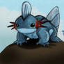 Pocket monsters Evo Mudkip