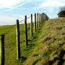 Keep Out Long Grass