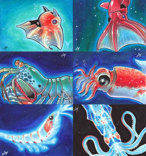 Viceroy The Deep Sketch Cards