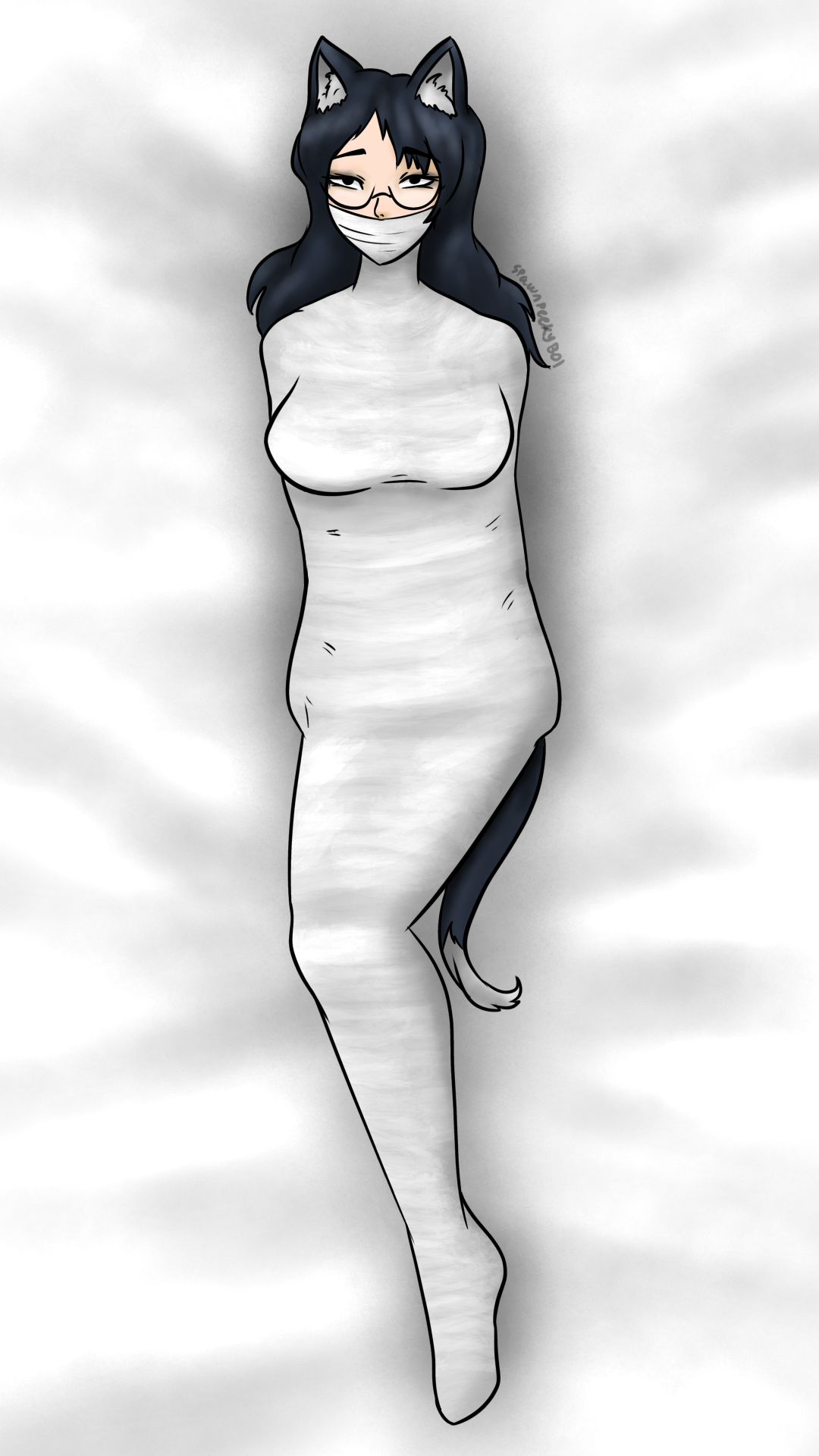 Wrapped Cat