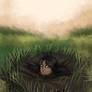 Grassland Sink