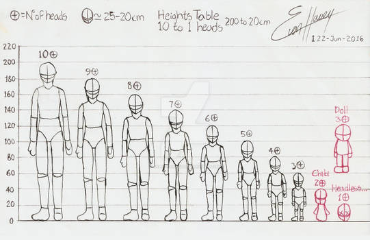 20cm to 200cm Height Body anatomy