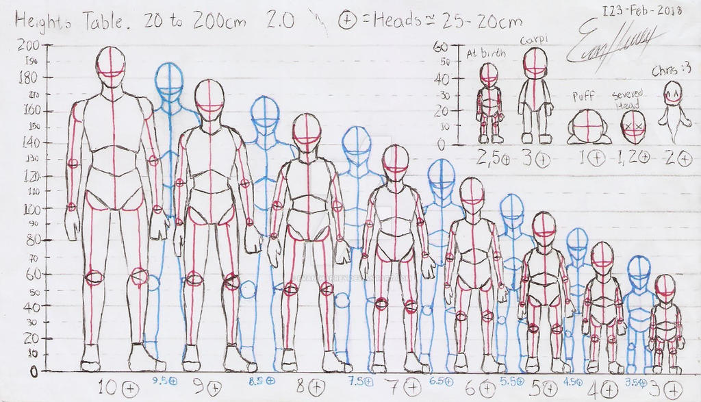 20cm to 200cm Height Body anatomy (2018 Version) by Evan-Harrey on ...