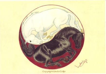 Yin-Yang