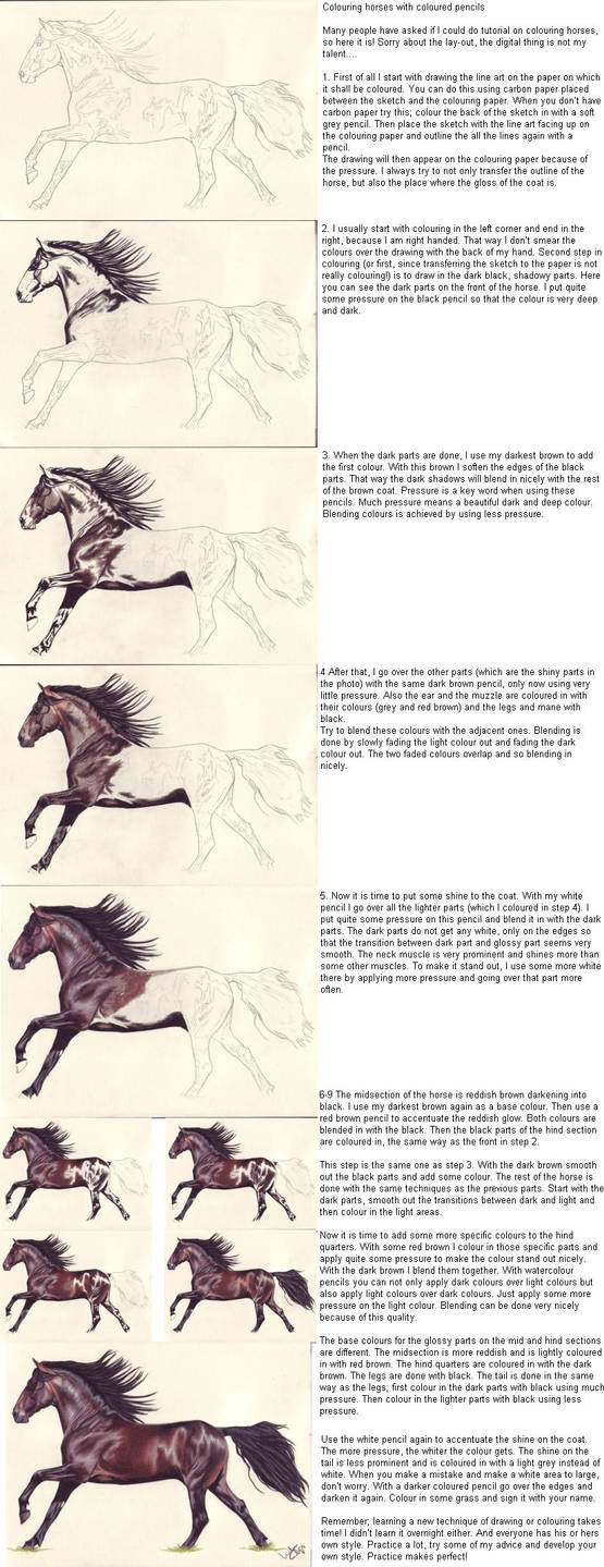 Colouring Horses By Lindacolijn On Deviantart