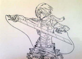 Mikasa lineart