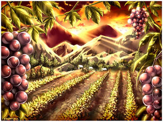 Commission : Vineyard