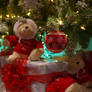 Beary best for Christmas.