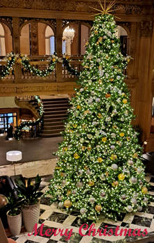 DA Digital Christmas Card / Option #2