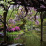 Reflections of Color