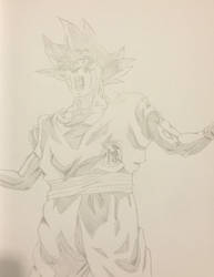 Goku 