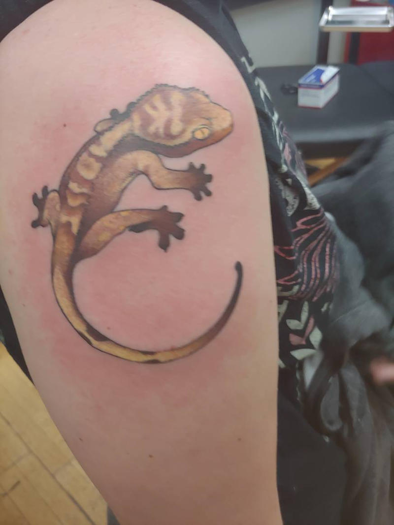 Crested Gecko Tattoo, Finished by LBrim1210 on DeviantArt