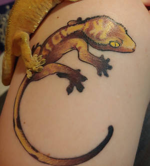 Crested Gecko Tattoo, Healed