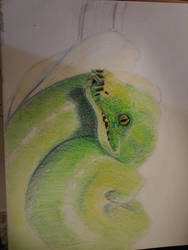 Green Tree Python (In Progress)