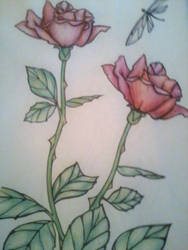 Roses