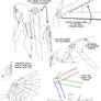 Diagram of Energeia's Wings