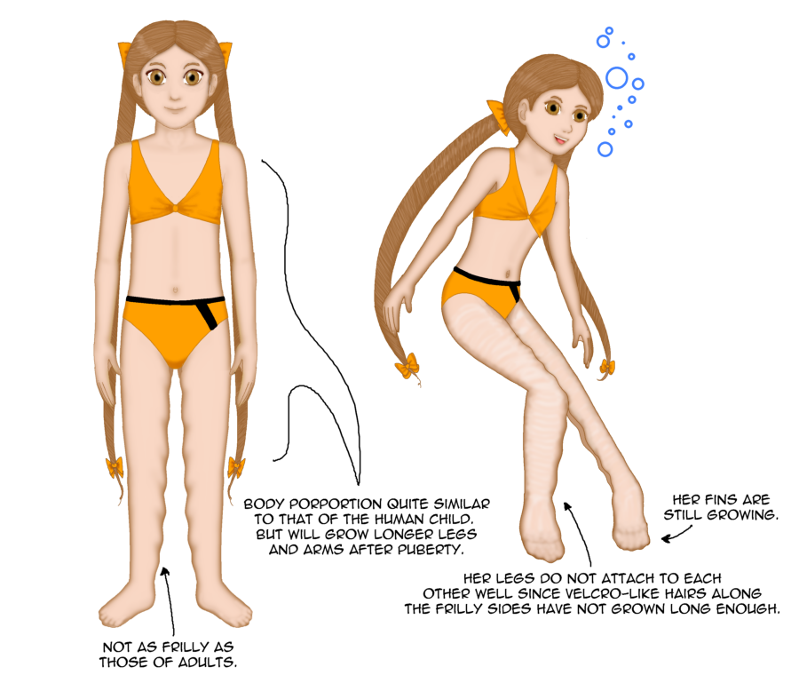 Kalua Mermaid Anatomy Ref