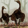 American feathered dinosaurs